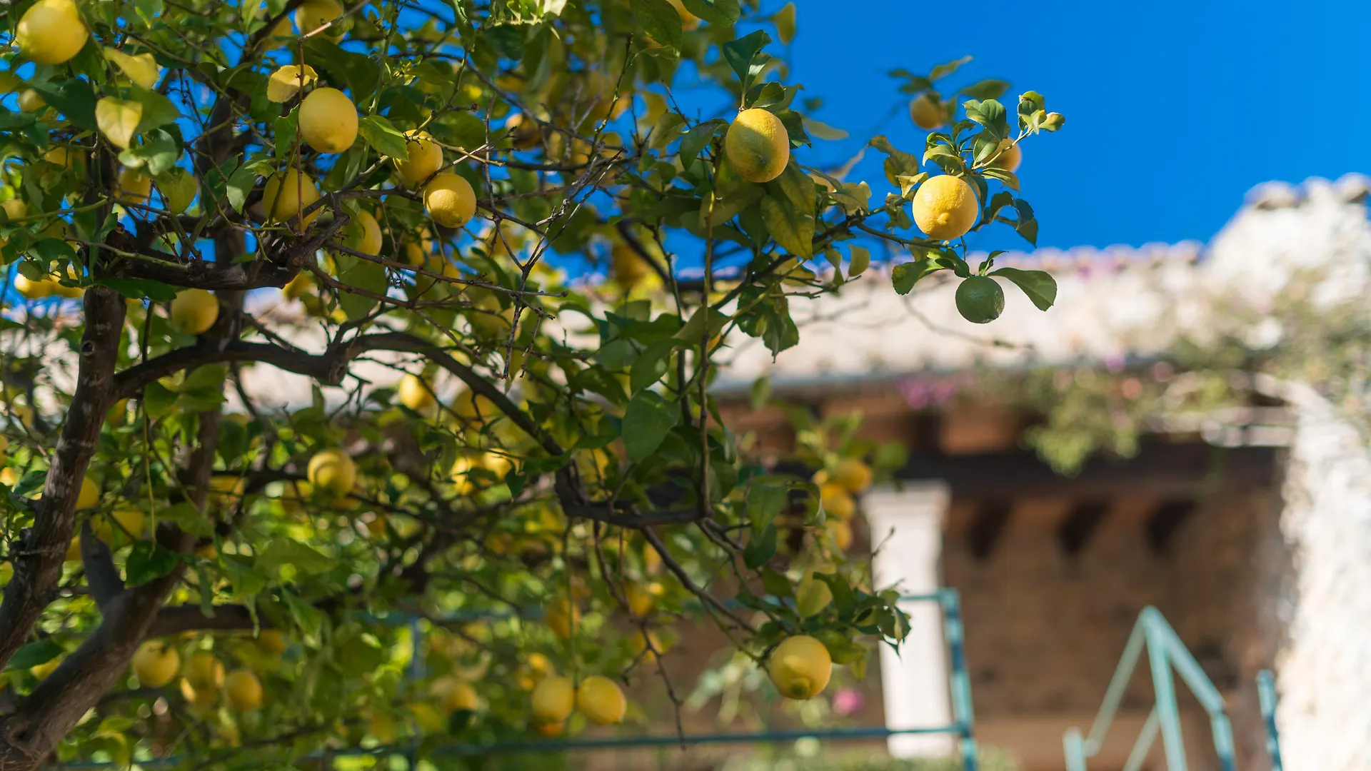 New Can Furios Hotel By Can Calco Hotels Selva  0*, Selva (Mallorca) Spain